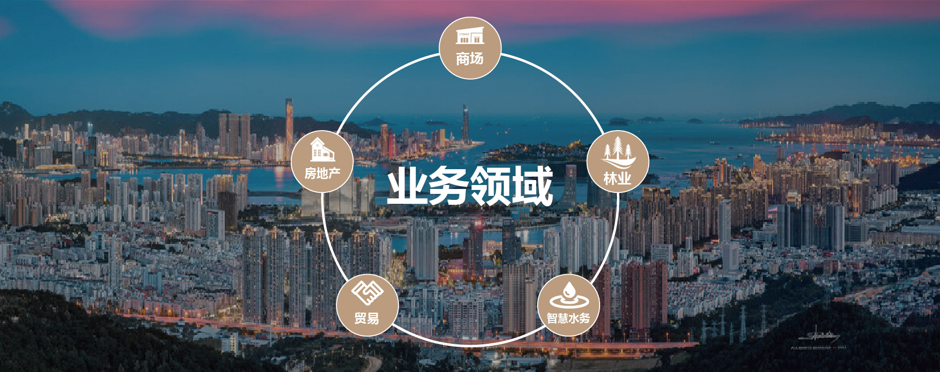 业务领域12rbm
